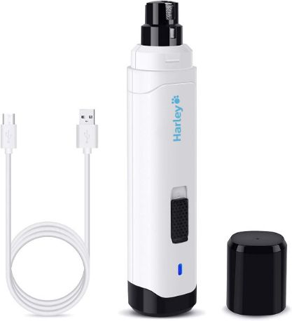 PETGRIND_HARLEY_FEATURED-IMG-min