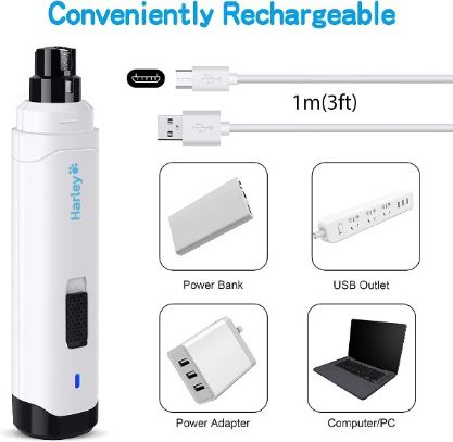 PETGRIND_HARLEY_GALLERY_IMG5-min