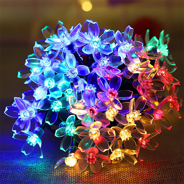 DAISYGLOW