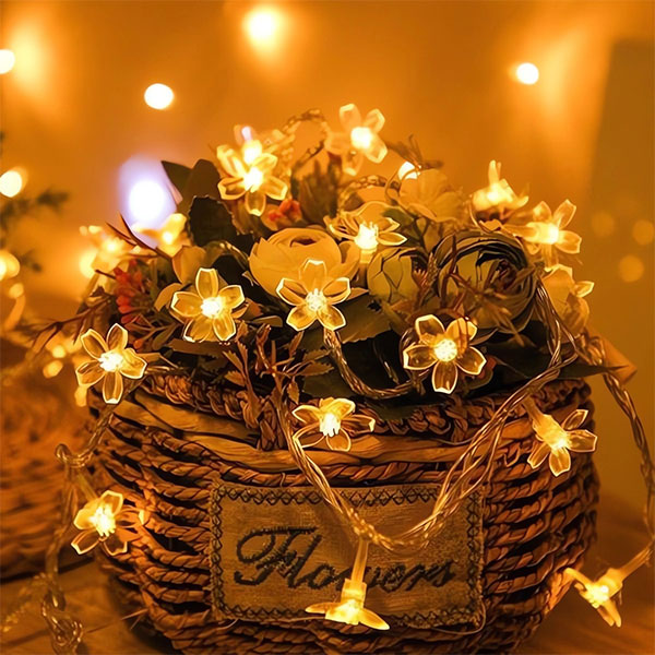DAISYGLOW
