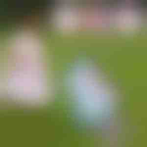 Chodiaci a spievajúci plyšový jednorožec | ROXY