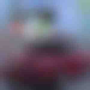 Najlepšia letná ochrana pre autá! | CARCOVER