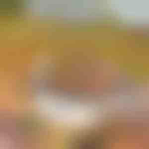 Prenosný gril | GRILLSTER