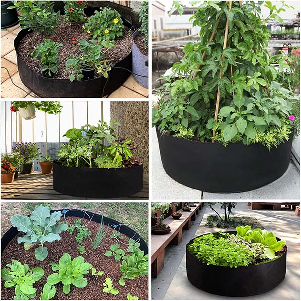 PLANTIE18645__f8521536