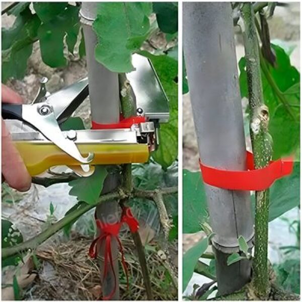 PLANTBRANDTAPE17959__280525